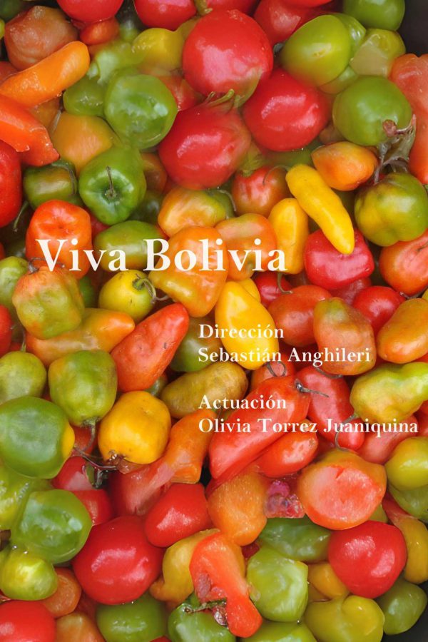 3-Puesto-Viva-Bolivia