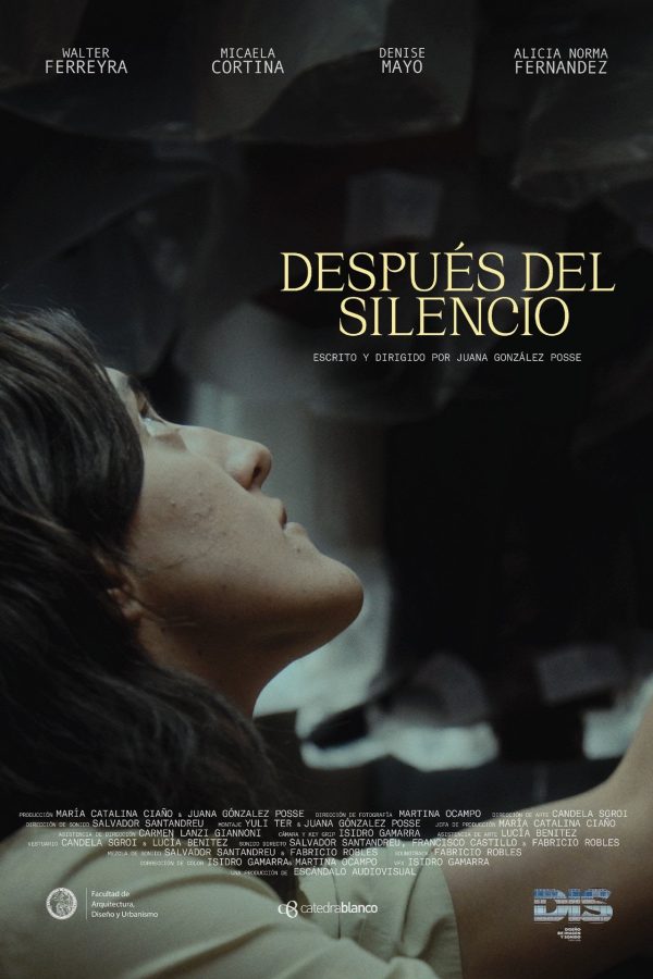 DEspues del Silencio